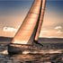 Go Galapagos Reviews - LoreDoblet